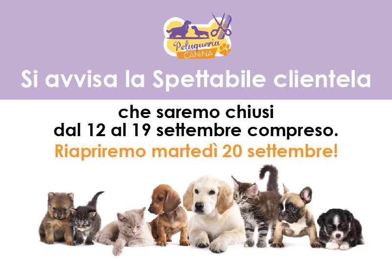 riapertura Peluqueria canina riapertura 20 settembre 2022